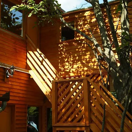 Hacienda Csaladbarat Vendeghaz Balatonboglár
